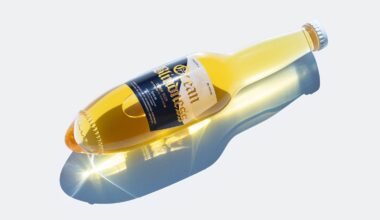 Cette bouteille de bière se plante dans le sable grâce à son design arrondi