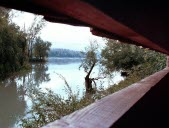 L'Ile du Beurre au fond depuis un observatoire sur un des lones du Rhône. Photo d'archives Joël Philippon