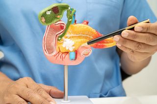 Le stress et l'obésité sont des déclencheurs du cancer du pancréas selon une étude