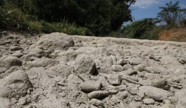 près de la moitié de l’Europe et du pourtour méditerranéen touchés depuis mi-mars