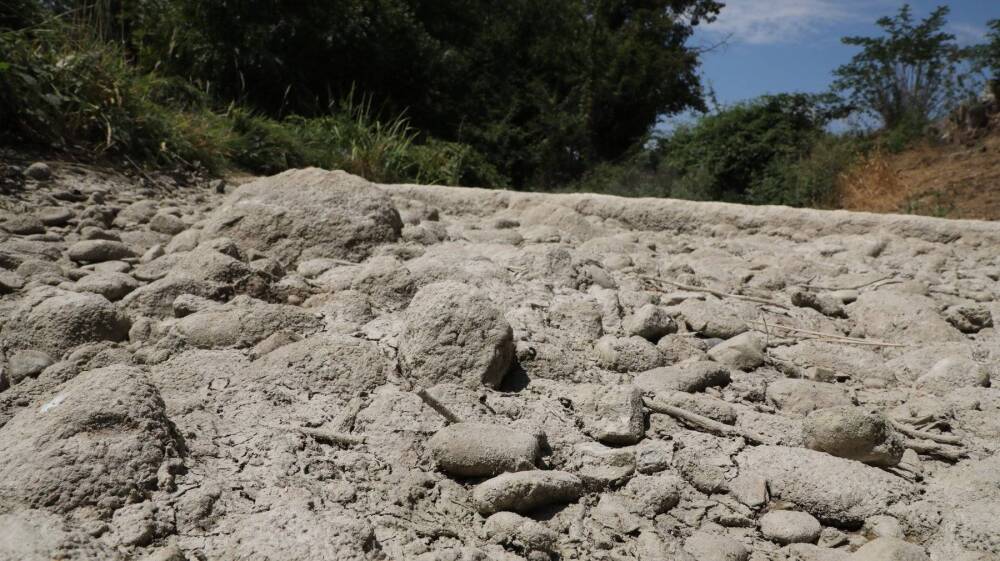 près de la moitié de l’Europe et du pourtour méditerranéen touchés depuis mi-mars