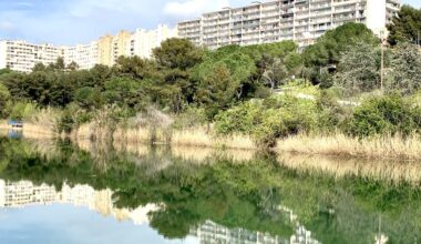 des restrictions sur le lac des Garrigues suite à la prolifération de cyanobactéries
