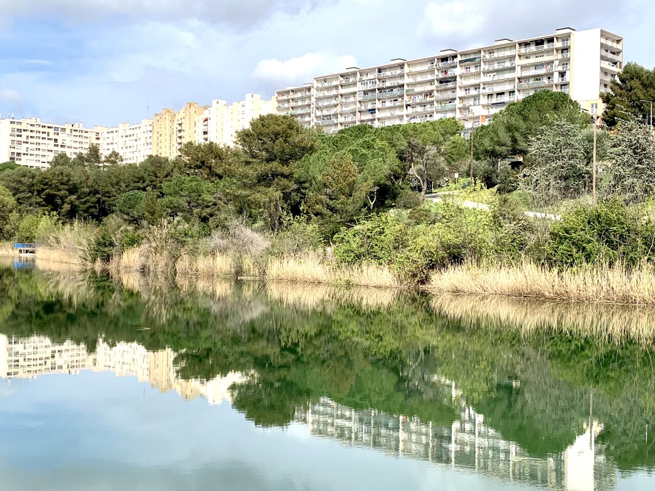 des restrictions sur le lac des Garrigues suite à la prolifération de cyanobactéries