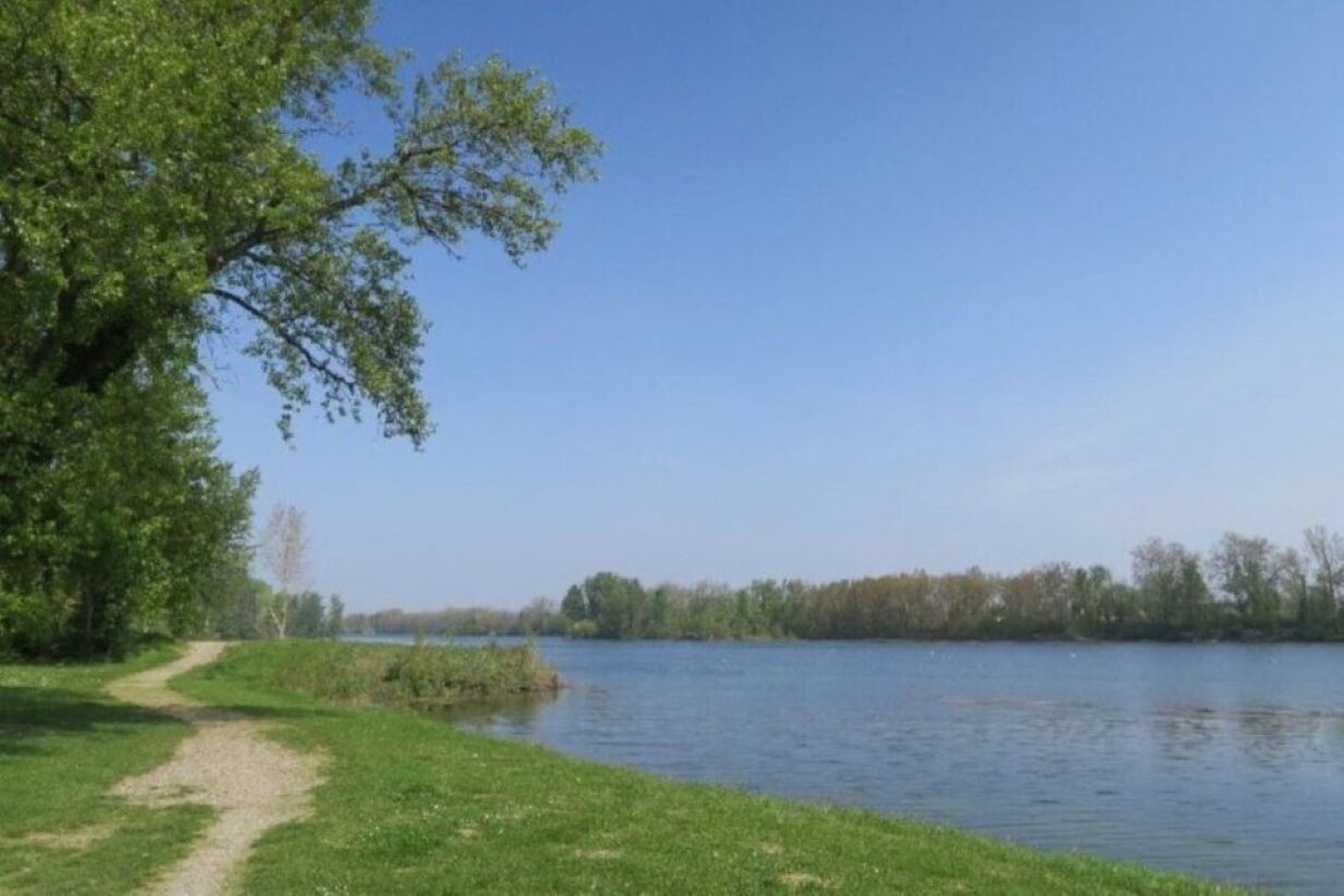 Alerte aux cyanobactéries toxinogènes dans ce lac près de Toulouse : les activités nautiques interdites