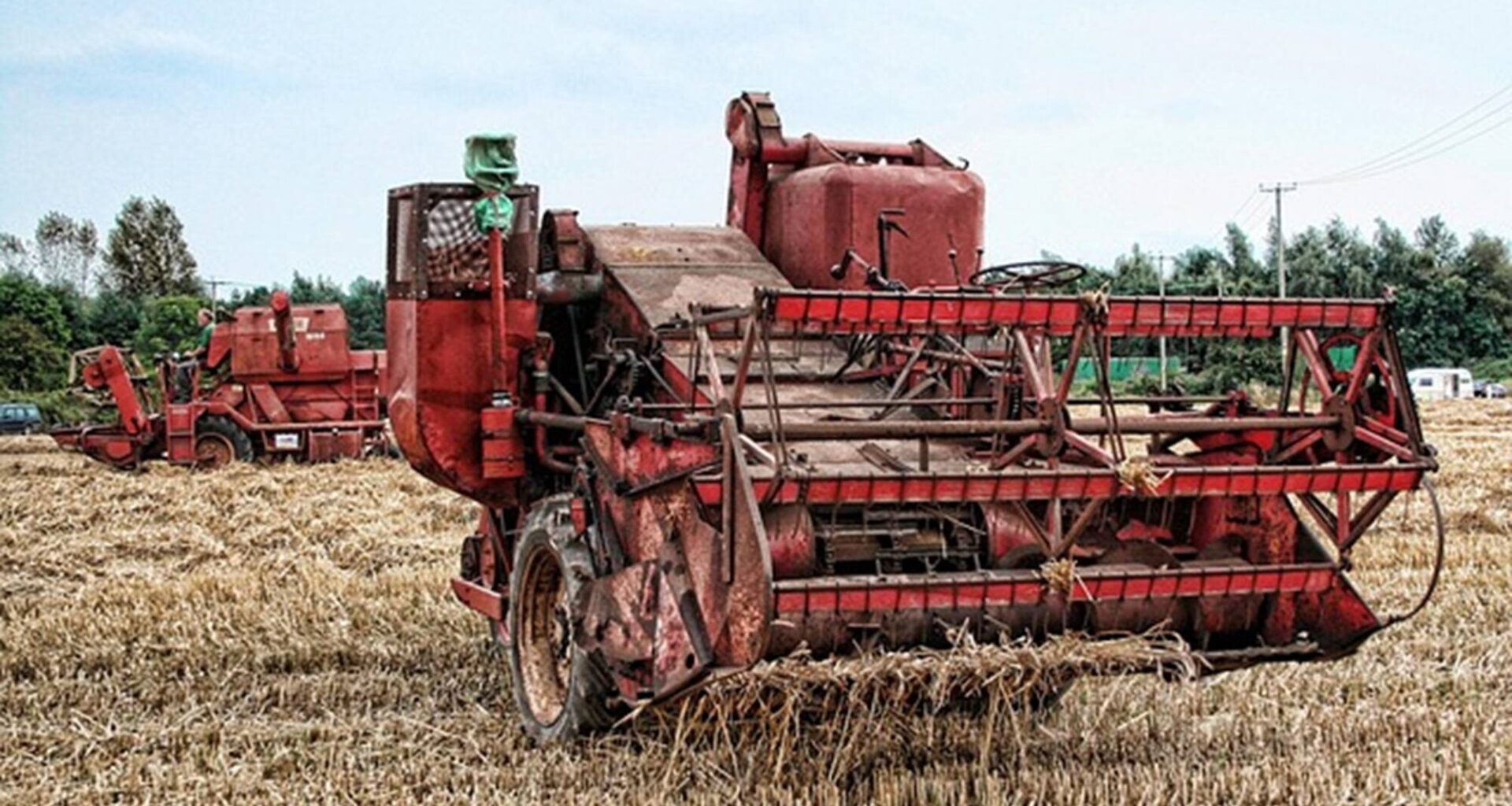 La fête des moissons, la traditionnelle coupe de blé et la confection de gerbes