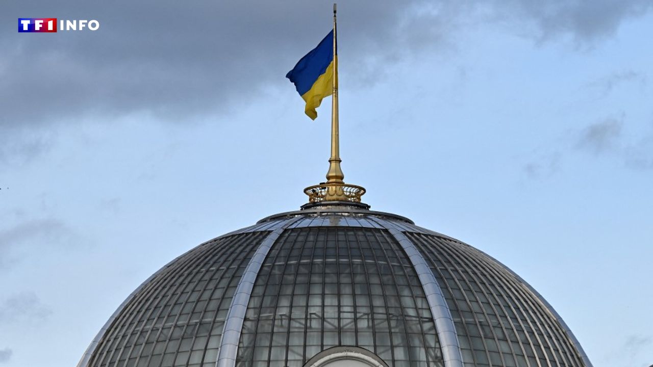 EN DIRECT - Ukraine : Kiev va "corriger" la loi anticorruption critiquée