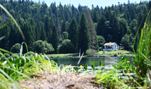 Le petit lac de montagne est situé dans une clairière entourée de sapins à 830 mètres d’altitude. Photo Pierre-Yves Royet