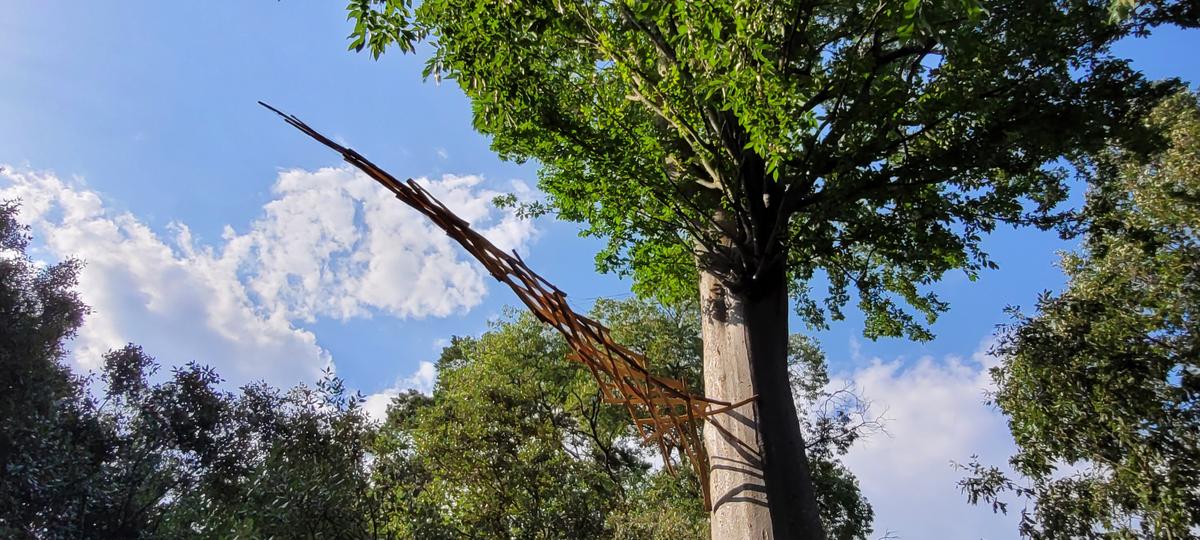 Les sculptures de Xavier Rèche s’élancent et semblent s’arracher à la pesanteur terrestre.