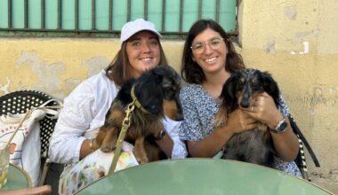 La start-up marseillaise Cabotin and co relooke les teckels et leurs humains