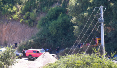 un adolescent décède après la chute d'un arbre à Cervione