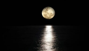 Découvrez l'horoscope de l'été 2025 par l'astrologue Suzie Gentile