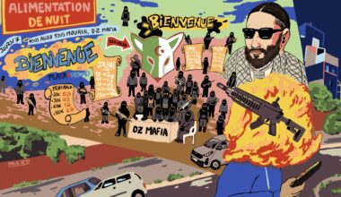 De quoi la DZ Mafia est-elle le nom ?