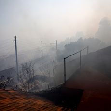 AFP