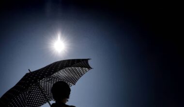 Une nouvelle vague de chaleur arrive (très) bientôt en France alors que la canicule actuelle n'est même pas terminée