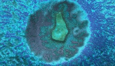 Microbe miroir, « une menace pour la vie telle que nous la connaissons »