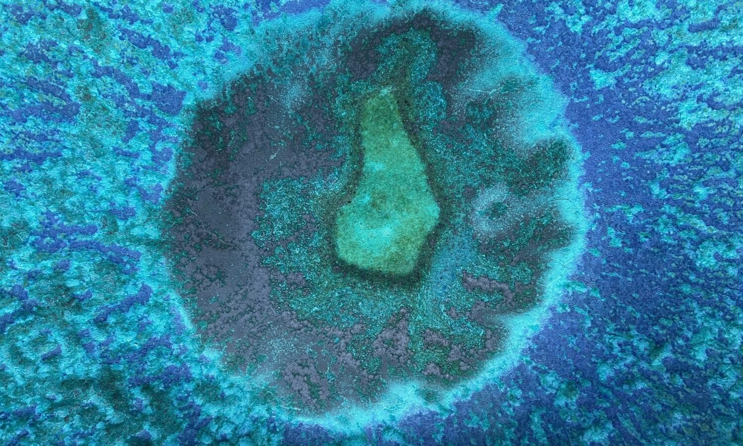 Microbe miroir, « une menace pour la vie telle que nous la connaissons »