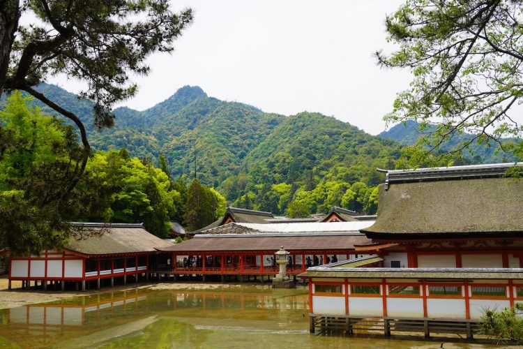 MIYAJIMA JAPON