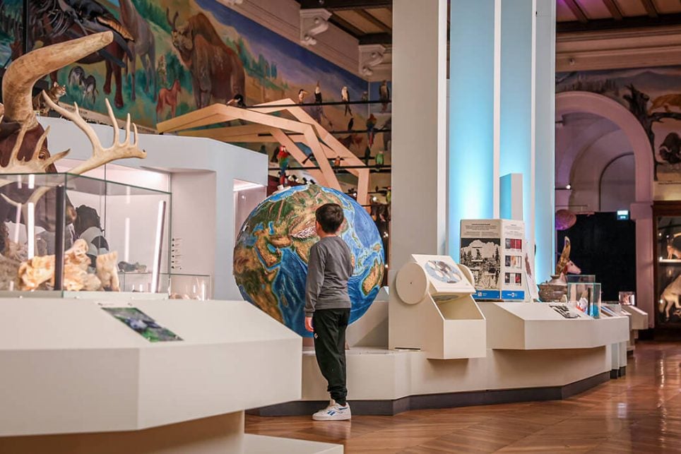 Exposition permanente du Muséum d’histoire naturelle de Marseille