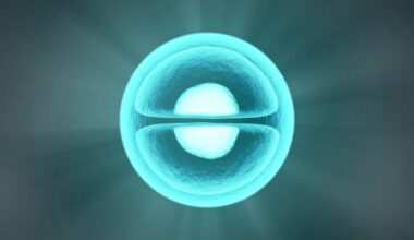 cellules