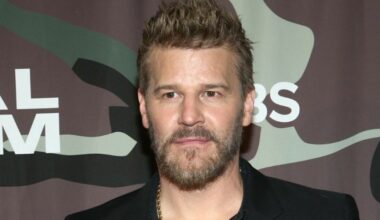 David Boreanaz revient sur ses années dans la série SEAL Team