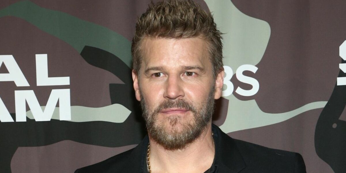 David Boreanaz revient sur ses années dans la série SEAL Team