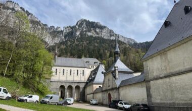 Près de Grenoble. Pourquoi une centaine d'arbres va être abattue dans cette forêt aux portes des Alpes
