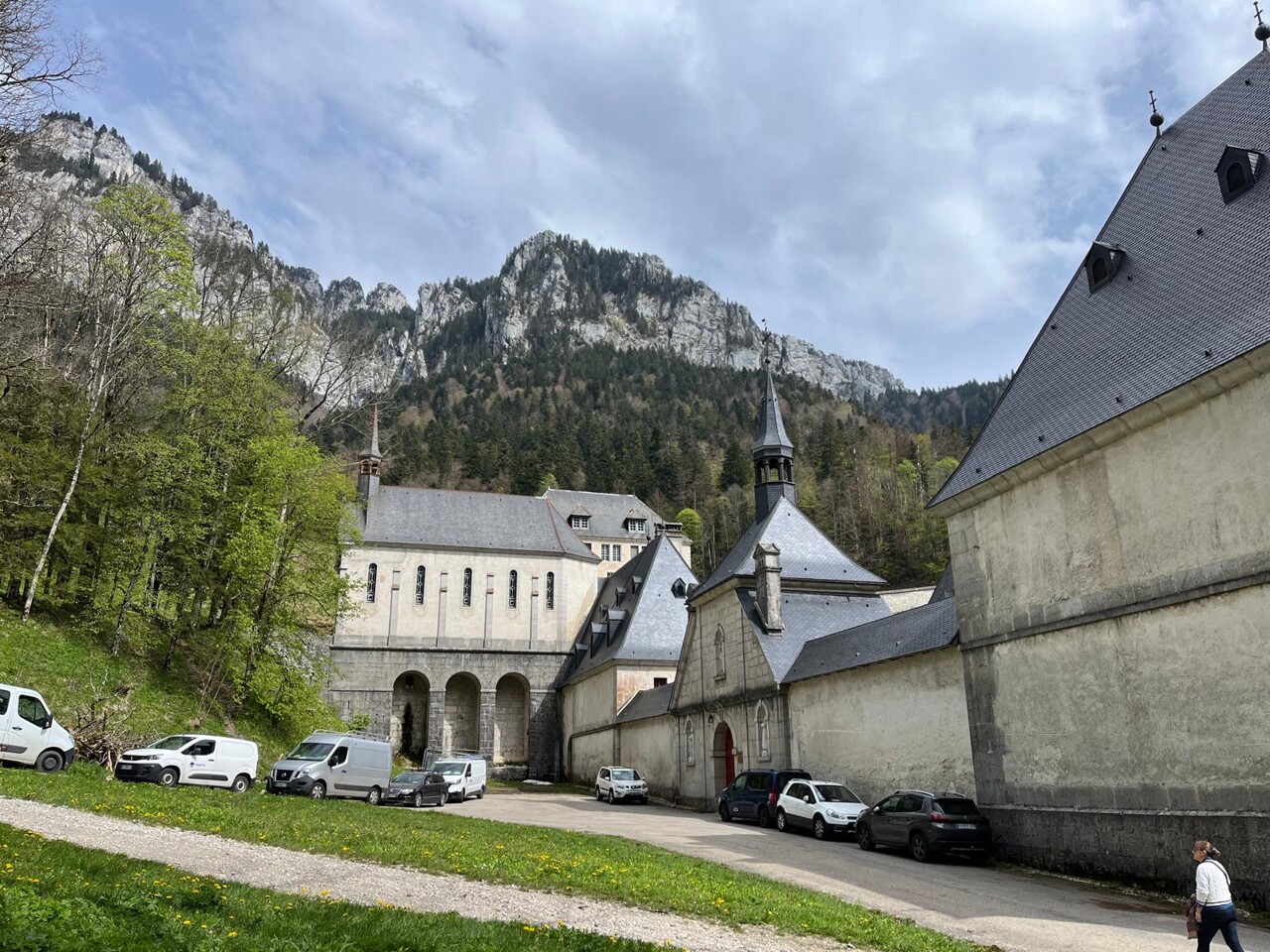 Près de Grenoble. Pourquoi une centaine d'arbres va être abattue dans cette forêt aux portes des Alpes