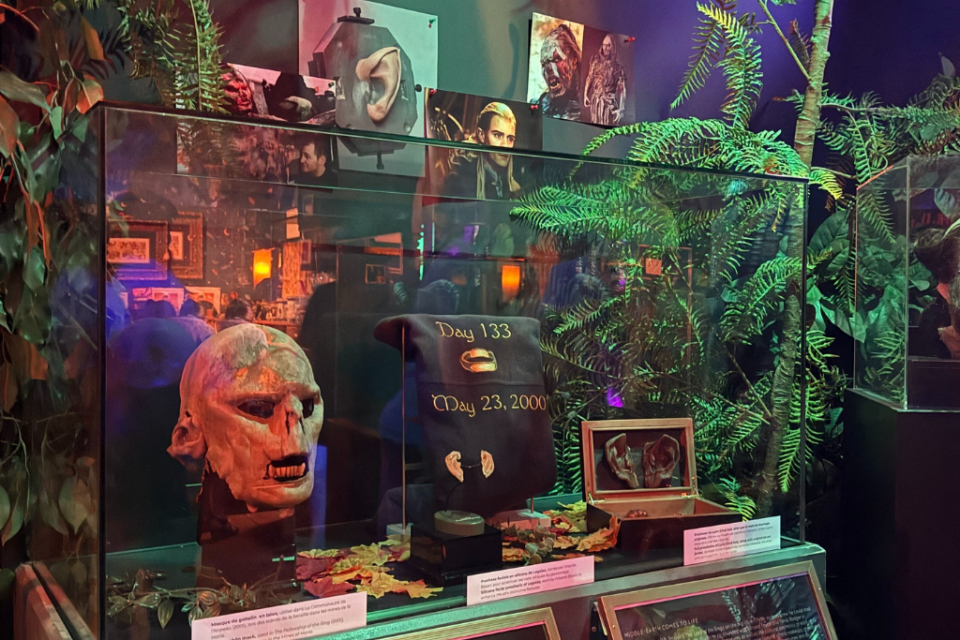 Les séries fantastiques les plus connues sont présentes dans le musée Cinéma et Miniature à Lyon, comme le Seigneur des Anneaux.