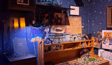 Lyon. Harry Potter, Seigneur des Anneaux... Ce musée ouvre un espace immersif unique