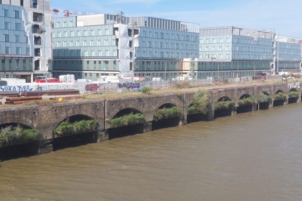 Actuellement, le quai qui s’étend du boulevard Gustave-Roch au quai des Antilles, est traversé par « des vents dominants ».