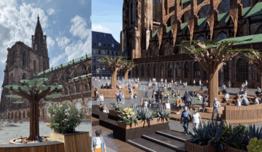 dès demain, une curieuse « forêt » va prendre vie au pied de la cathédrale