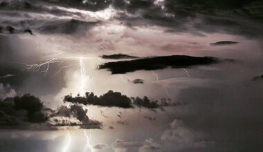 Les Alpes-Maritimes placées en vigilance jaune aux orages ce samedi