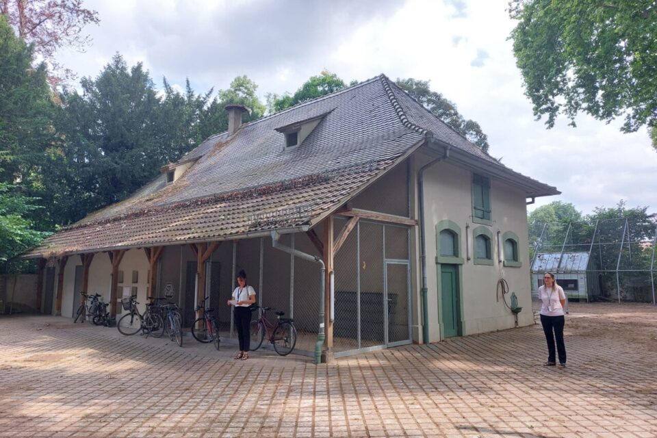 En face de l'ancien zoo, la mini ferme pédagogique rouvrira ses portes au printemps 2026. 