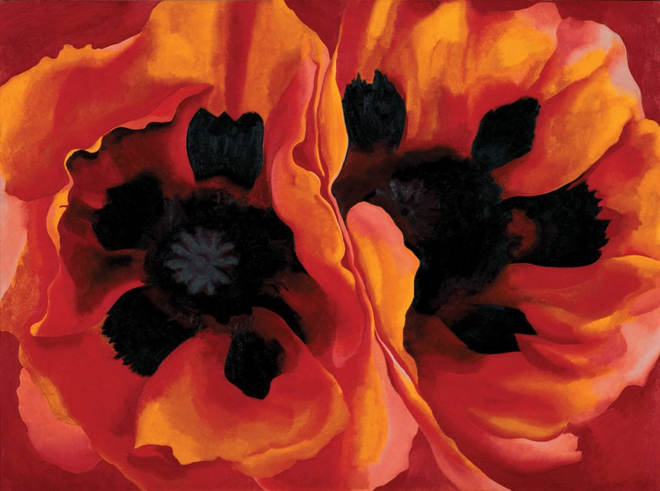 Georgia O'Keeffe, Oriental Poppies