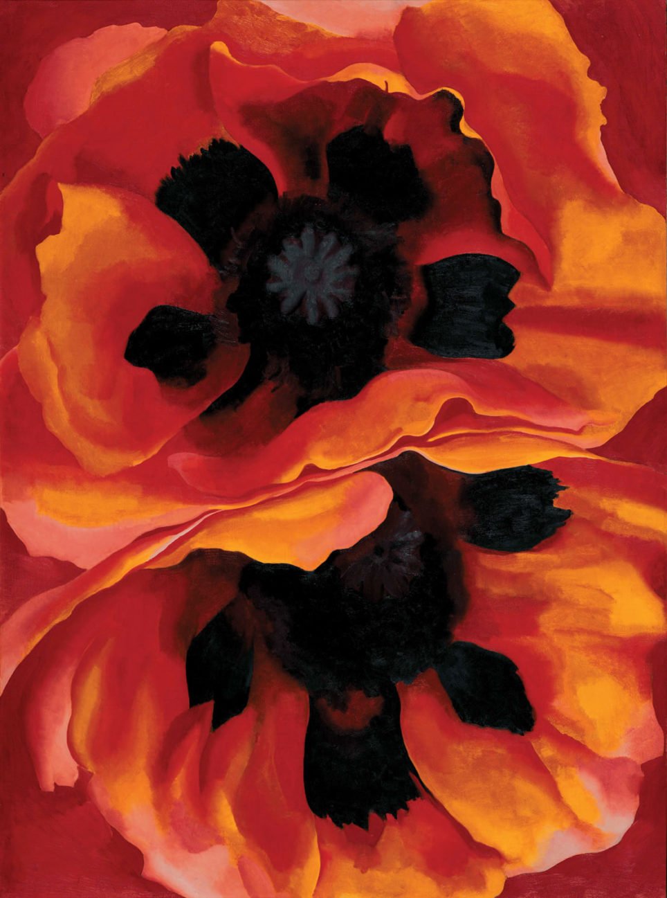 Georgia O'Keeffe, Oriental Poppies (présenté dans le mauvais sens au Frederick Weisman Art Museum dans jusqu’en 1988)