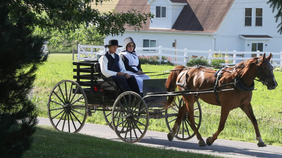 Nous sommes tous touchés par les allergies... sauf les Amish: comment expliquer une telle immunité?