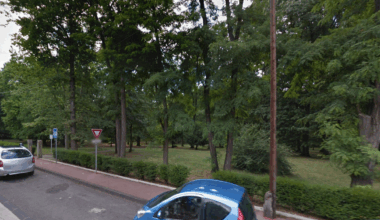 Lyon. Une branche blesse un enfant de 7 ans, la Métropole attaquée : la facture tombe