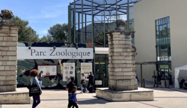 le parc zoologique de Montpellier est contraint de fermer à cause des risques d'incendies