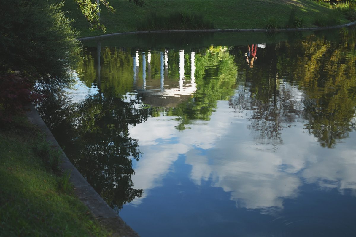Parc Orangerie verdure végétal plantes nature (13)