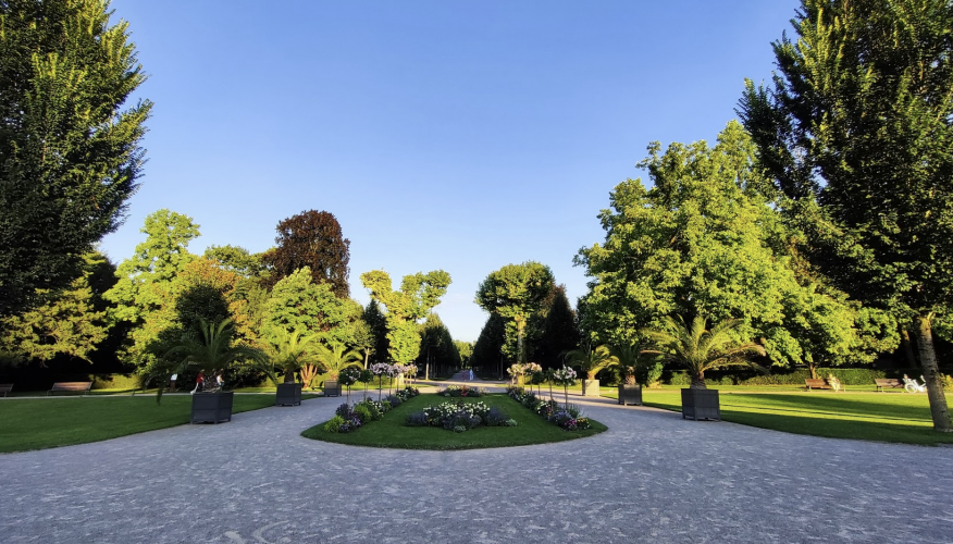 Parc Orangerie verdure végétal plantes nature (2)