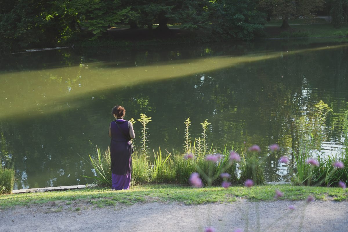 Parc Orangerie verdure végétal plantes nature (21)