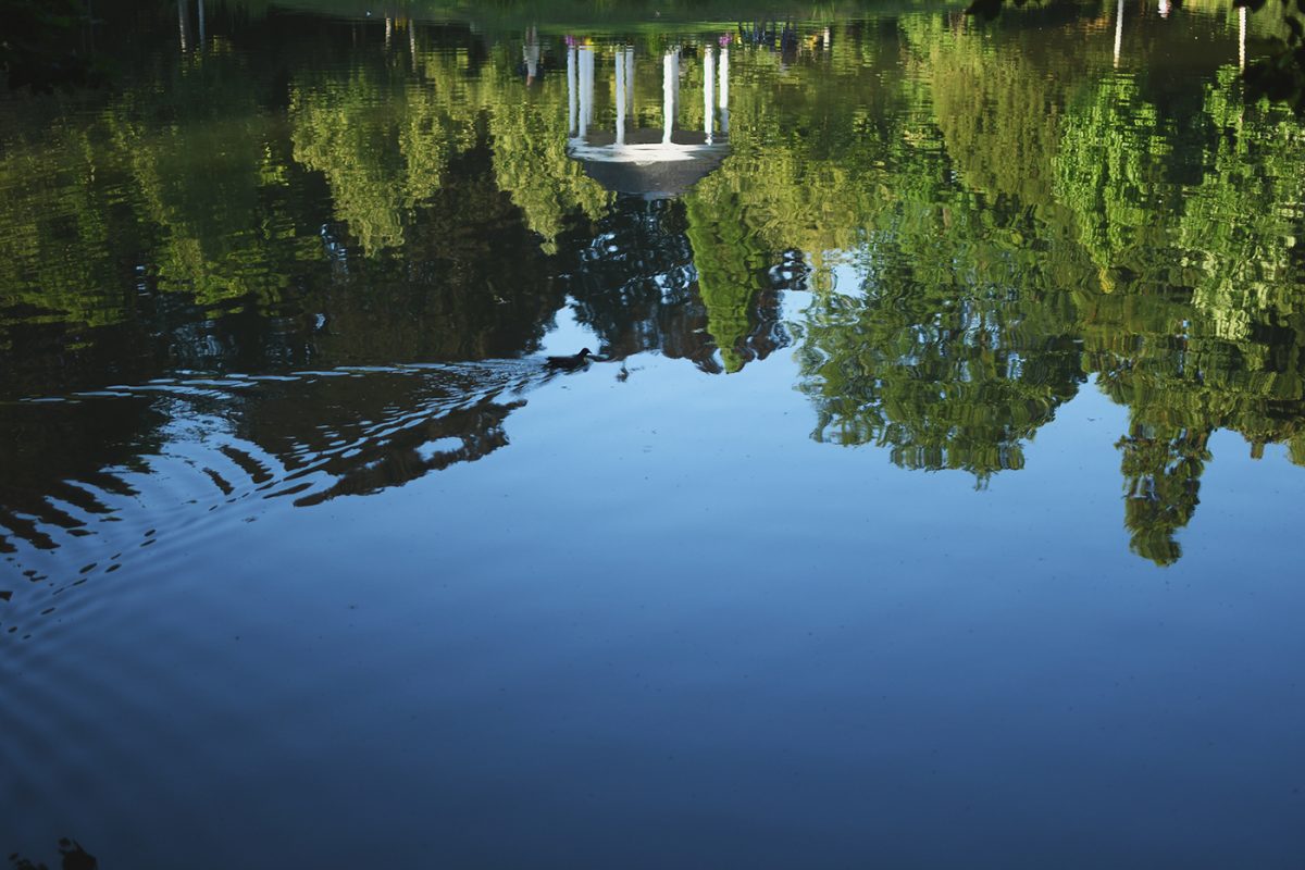 Parc Orangerie verdure végétal plantes nature (33)