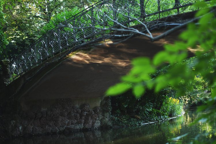 Parc Orangerie verdure végétal plantes nature (47)