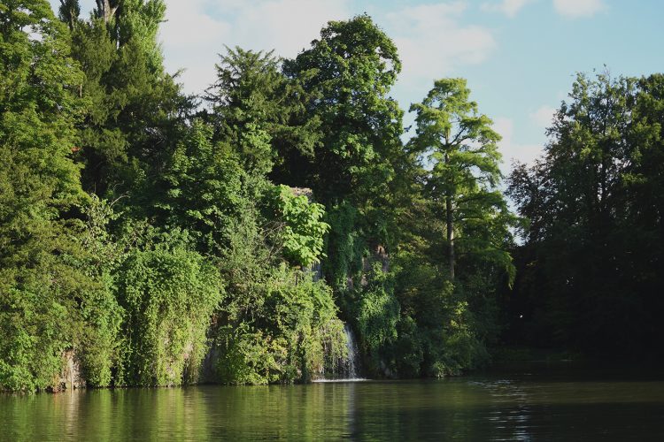 Parc Orangerie verdure végétal plantes nature (5)
