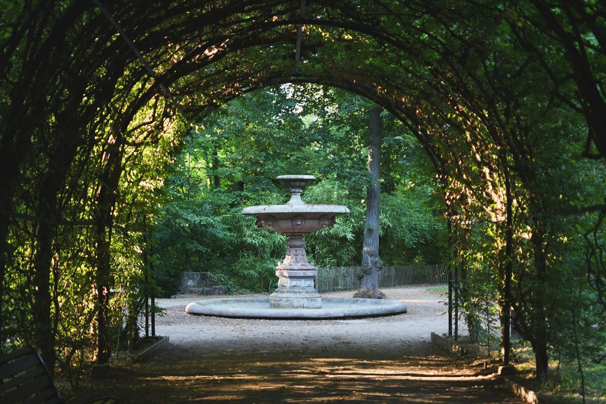 Parc Orangerie verdure végétal plantes nature (54)