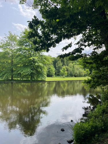 Parc Stromovka Prague – Agathe Beekenkamp
