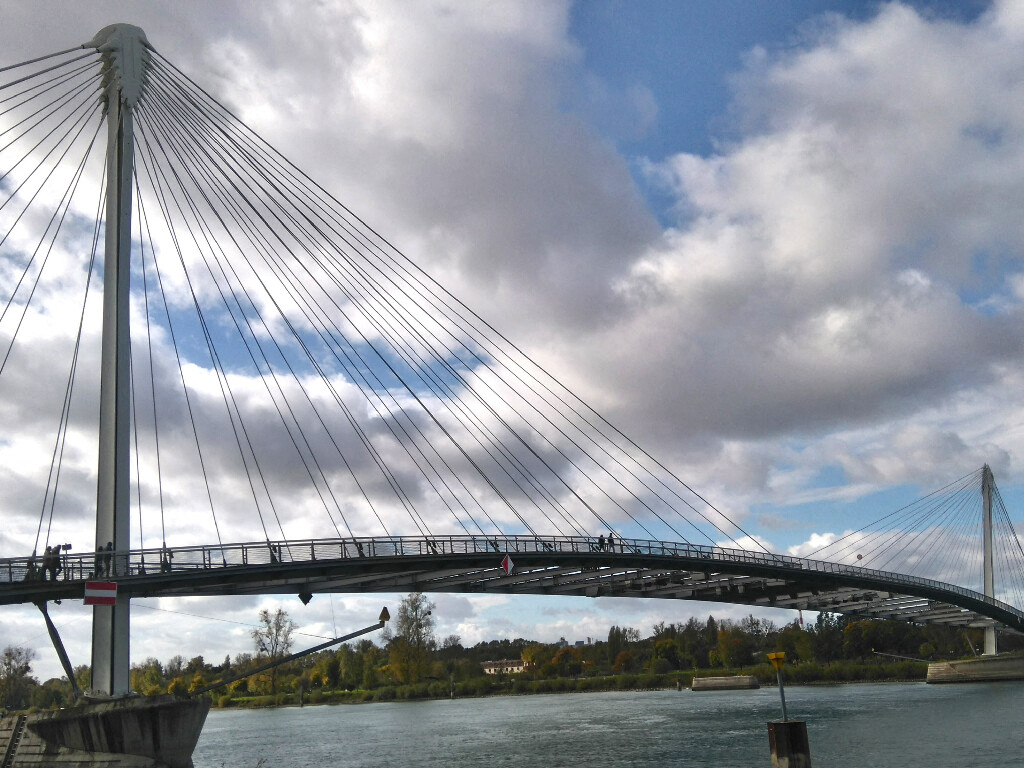 Il saute dans le Rhin depuis la passerelle qui relie Strasbourg à Kehl : un homme meurt noyé