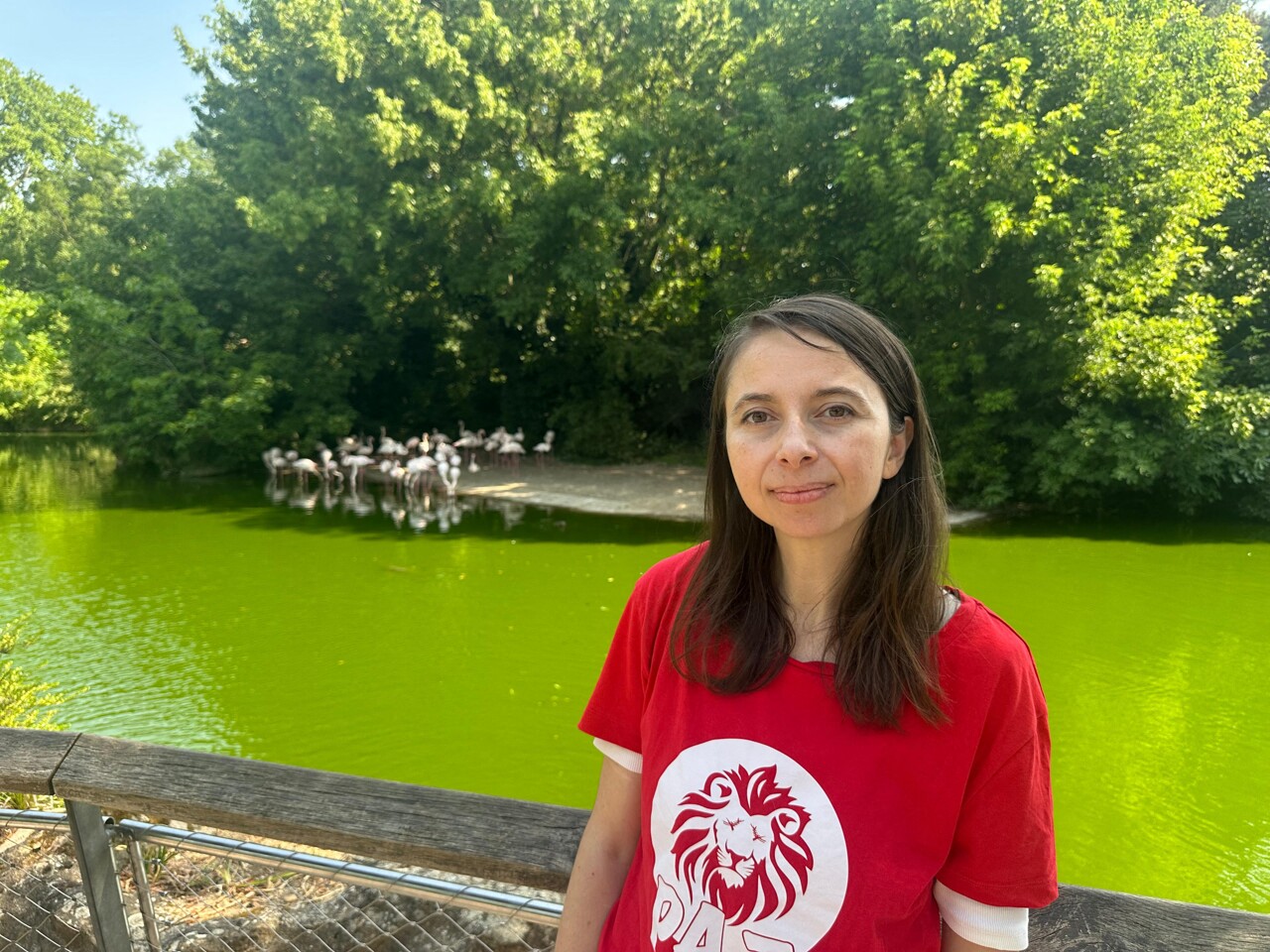 Lyon. Ce collectif veut fermer le Zoo du parc de la Tête d'Or et attaque Grégory Doucet