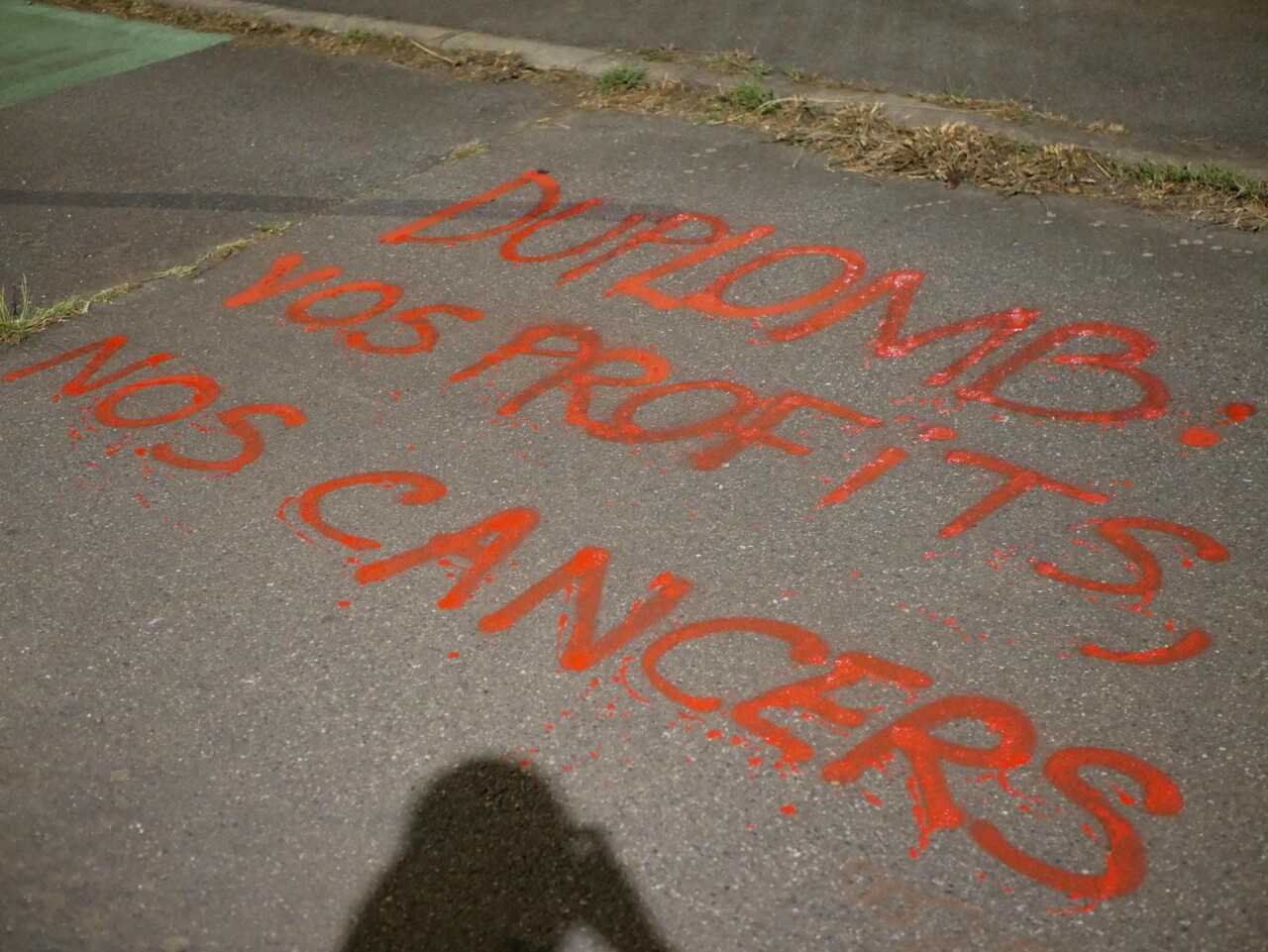 Toulouse. Des militants écologistes ciblent la chambre d'agriculture (et les soutiens de la loi Duplomb)