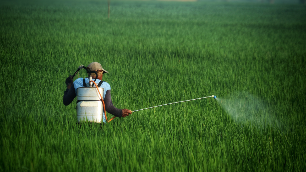 Quel pays utilise le plus de pesticides en Europe ? La France parmi les mauvais élèves...
